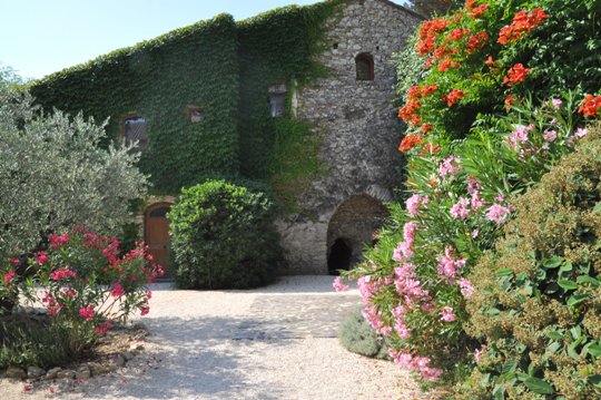 Provence Art Retreat villa-Tuilerie-olive-garden